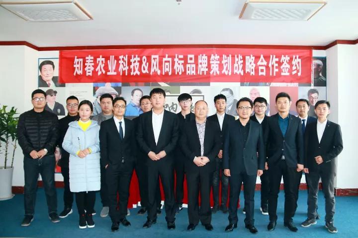 风向标品牌策划：知春农业科技携手风向标策划，凝心聚力打造行业顶尖品牌！